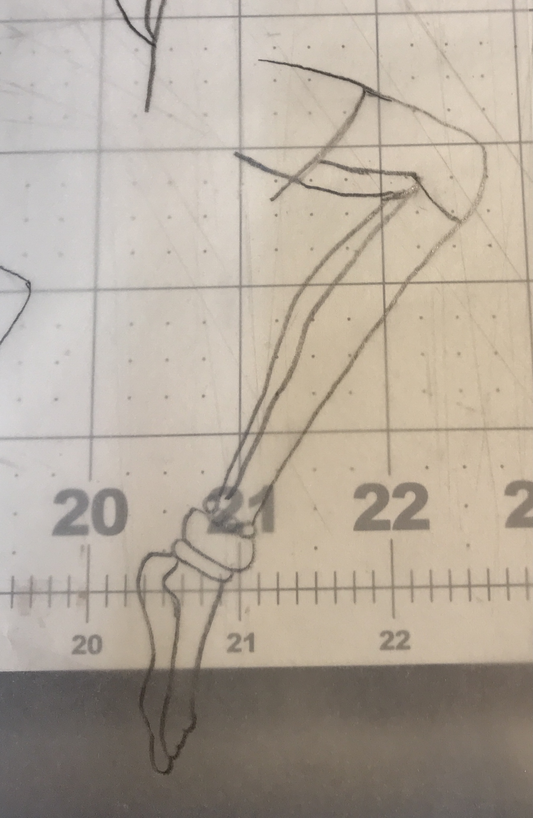 The second packet, the left leg.